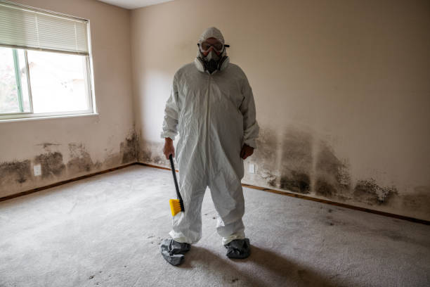 Best Insurance-Related Mold Remediation in Golden Hills, CA