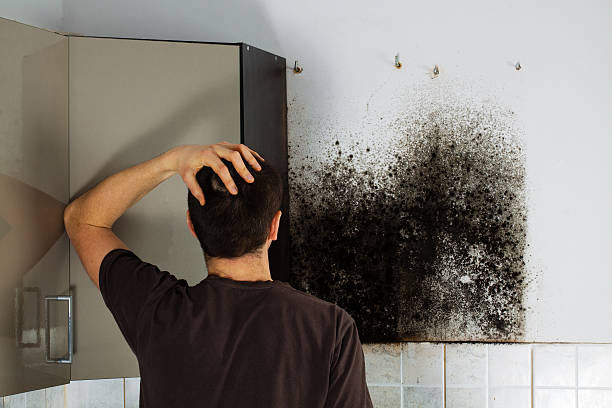 Best Mold Remediation for Schools in Golden Hills, CA