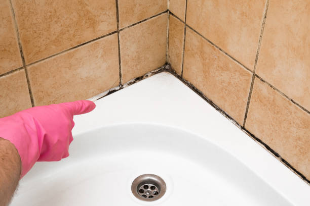 Best Bathroom Mold Remediation in Golden Hills, CA